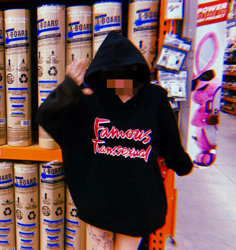 FAMOUS TS HOODIE
