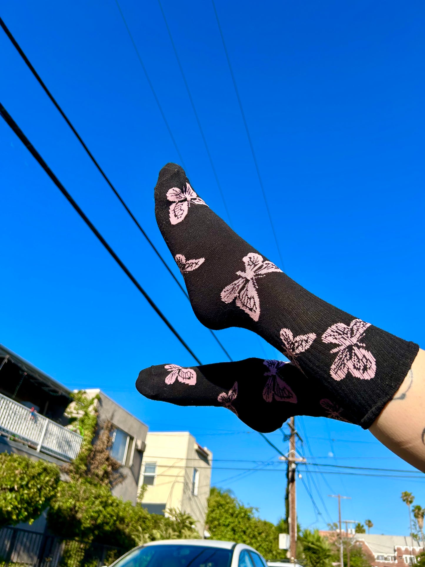 Pretty Bby Feets- Transpapillon