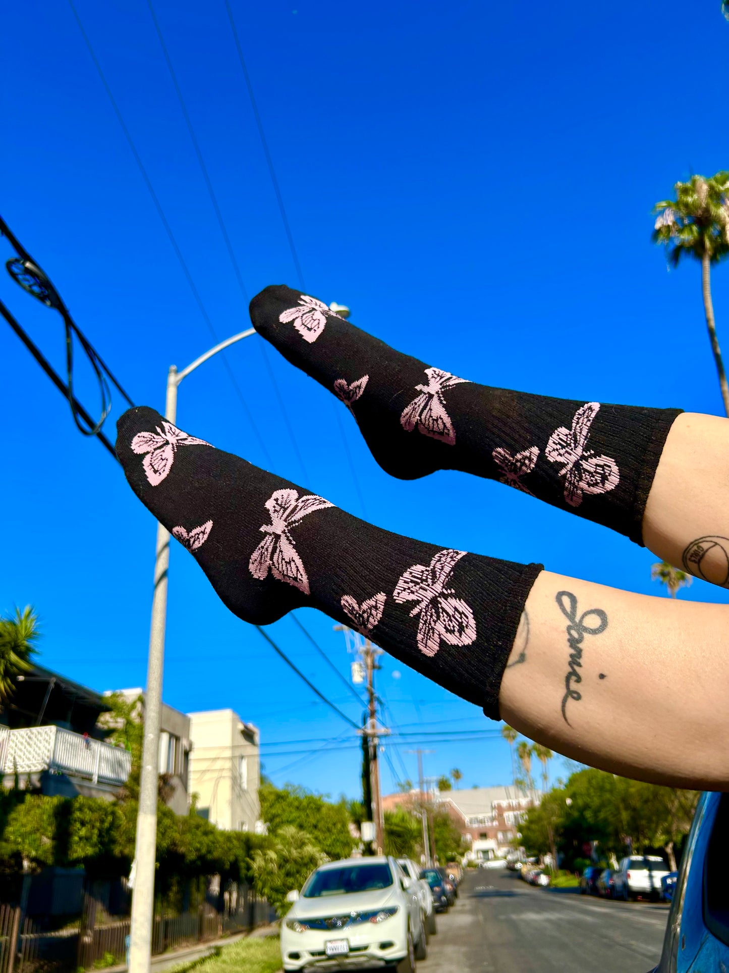 Pretty Bby Feets- Transpapillon