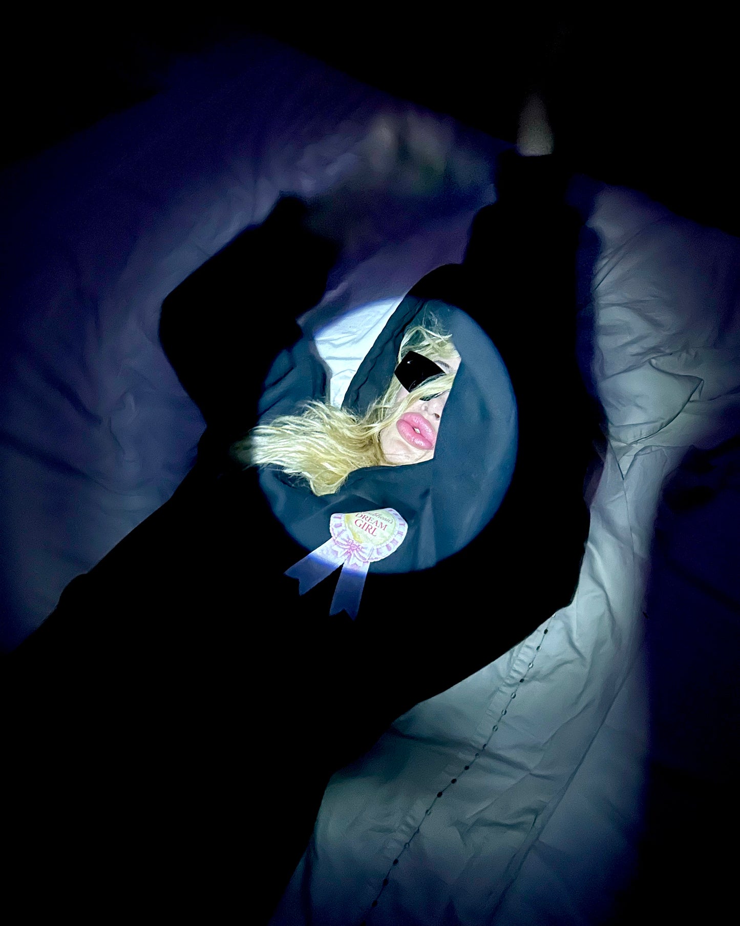 Republican’s Dream Girl Hoodie